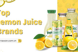 Top lemon juice brands 2025 (12)