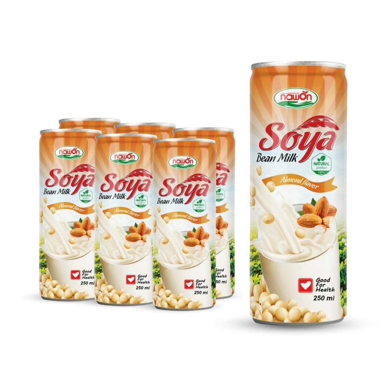 can 250 ml 8 46 fl oz soya bean milk with almond flavor (1)