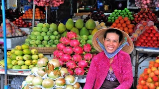 Intro Vietnamese Fruit