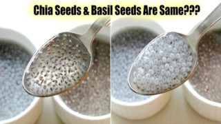 basil seeds and chia seeds