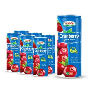 cranberry juice drink 320ml can