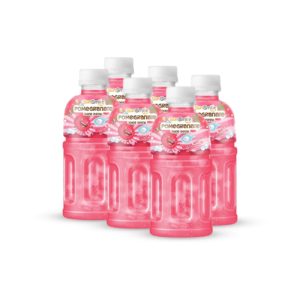 bottle 320ml 10 82 fl oz pomegranate juice with nata de coco chewy jelly (3)