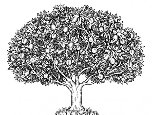 depositphotos 48817347 stock illustration apple tree