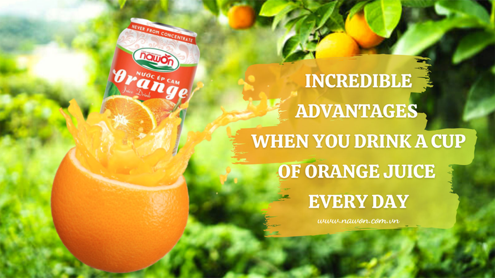Orange juice for weight loss
