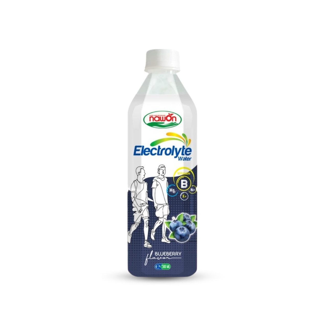 Pp bottle 500 ml 16 9 fl oz electrolyte drink water with blueberry flavor (1)