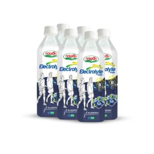 pp bottle 500 ml 16 9 fl oz electrolyte drink water with blueberry flavor (2)