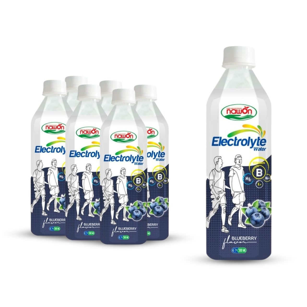 pp bottle 500 ml 16 9 fl oz electrolyte drink water with blueberry flavor (3)