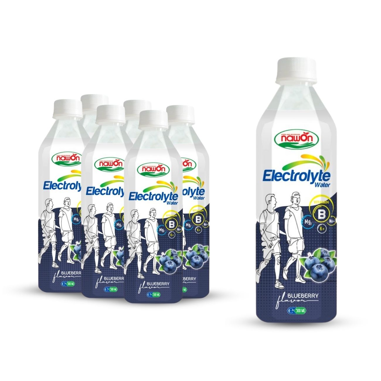 pp bottle 500 ml 16 9 fl oz electrolyte drink water with blueberry flavor (3)