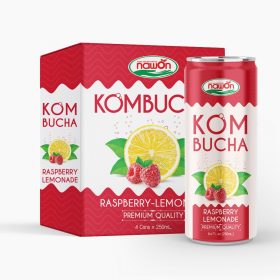 Kombucha Rasberry Nawon