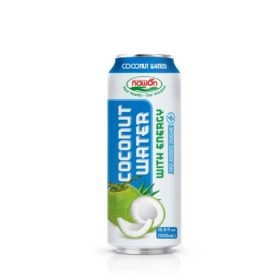 Nawon Coconut Water 500ml