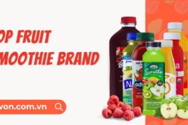 Top 10 best juice smoothie brands thumb 2025