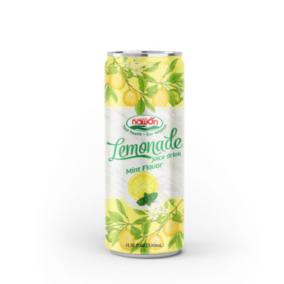 Lemonade Juice Drink Mint