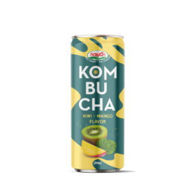 Sparkling Kombucha Kiwi