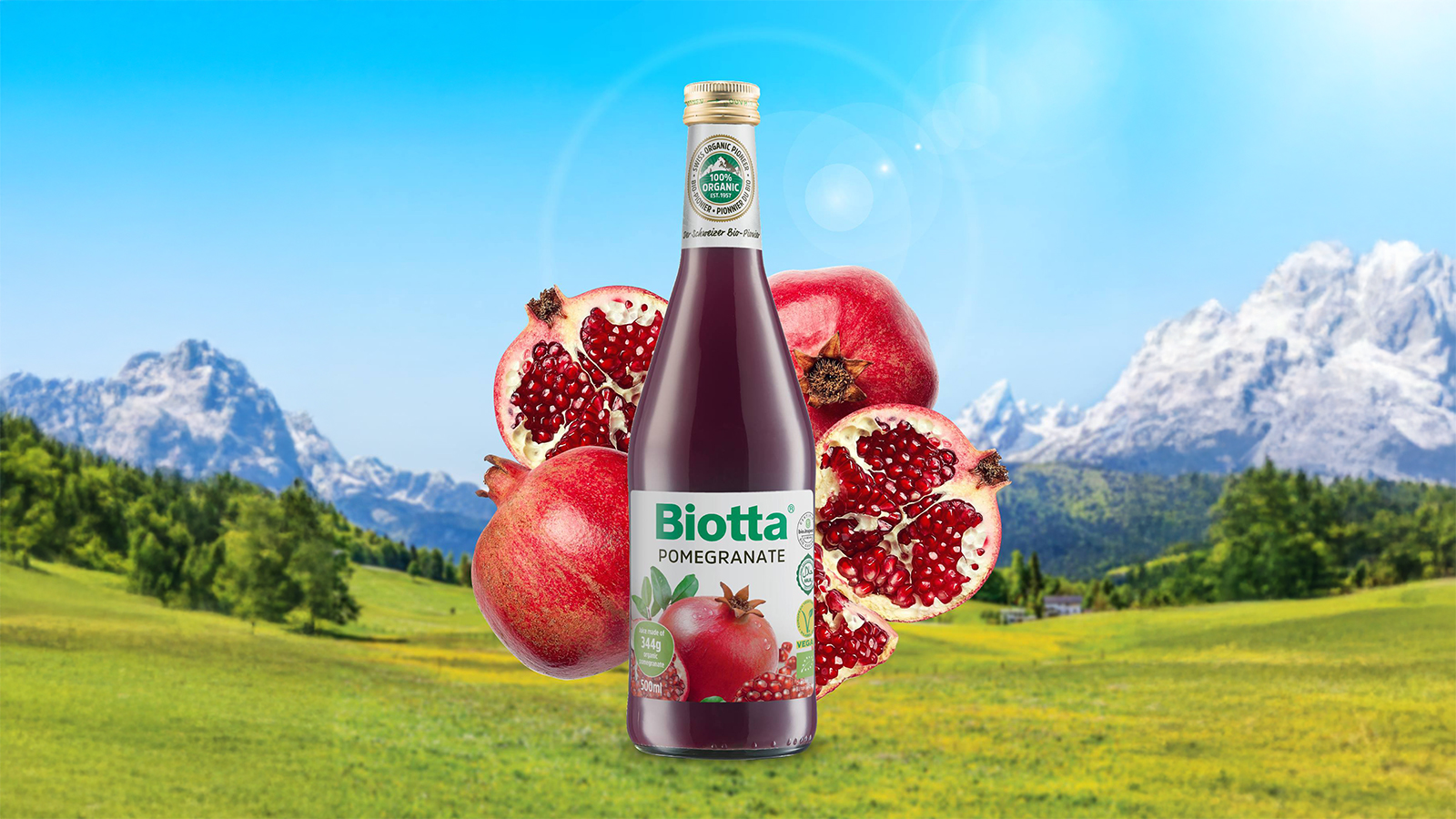 top best pomegranate juice brands (10)