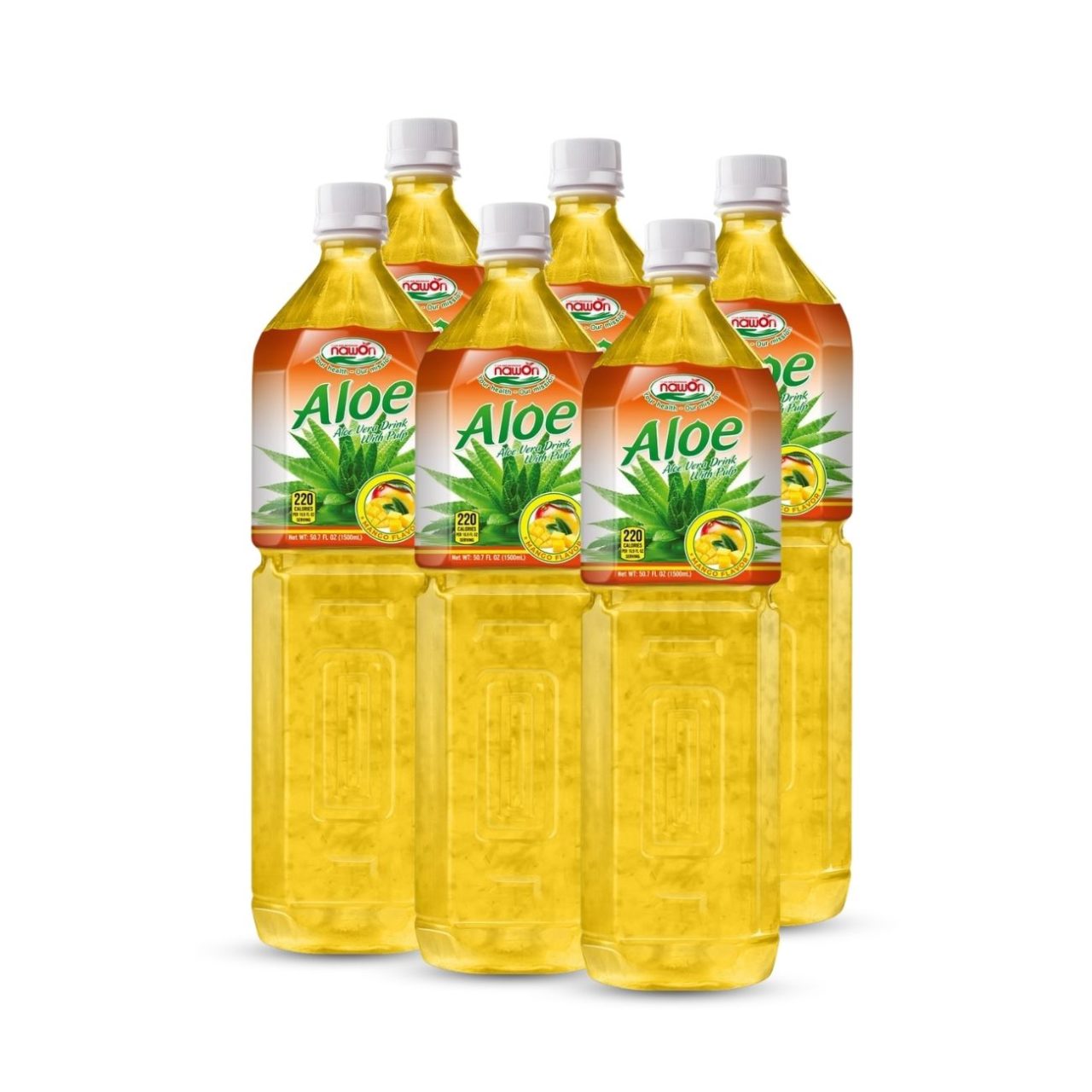bottle 1000 ml 33 8 fl oz aloe vera drink with mango flavor (1)