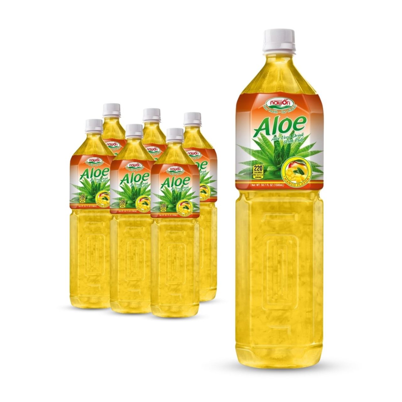 bottle 1000 ml 33 8 fl oz aloe vera drink with mango flavor (2)