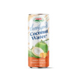 coconut-water-electrolyzed-orange