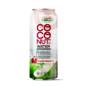 Coco Probiotic Pomegranate