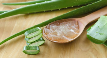 Top 5 World Best Aloe Vera Juice Brands