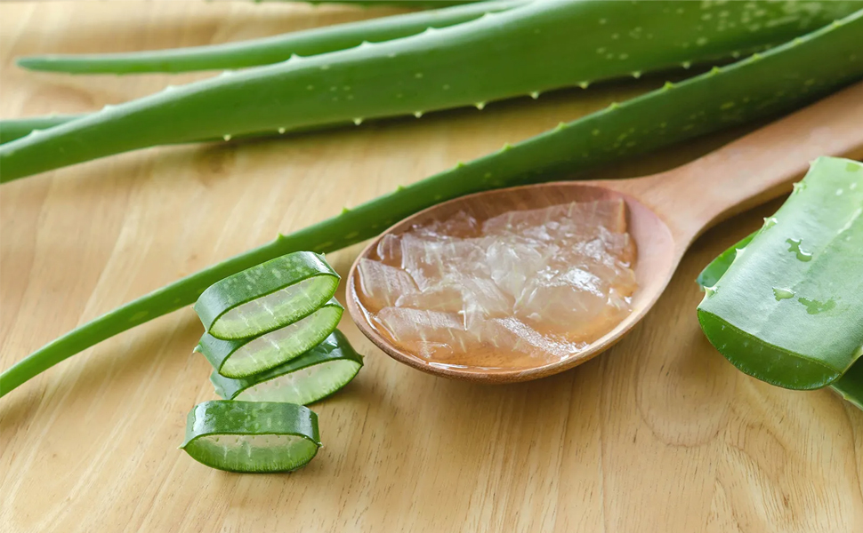 Best Aloe Vera Drink