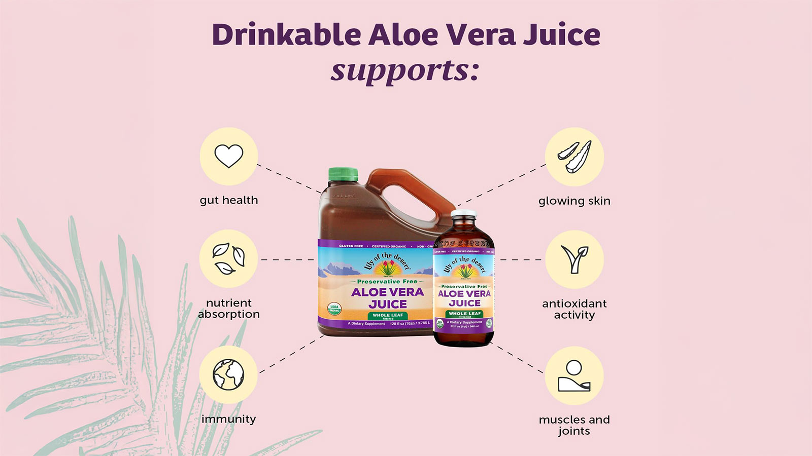 Best aloe vera juice brand in the world (3)