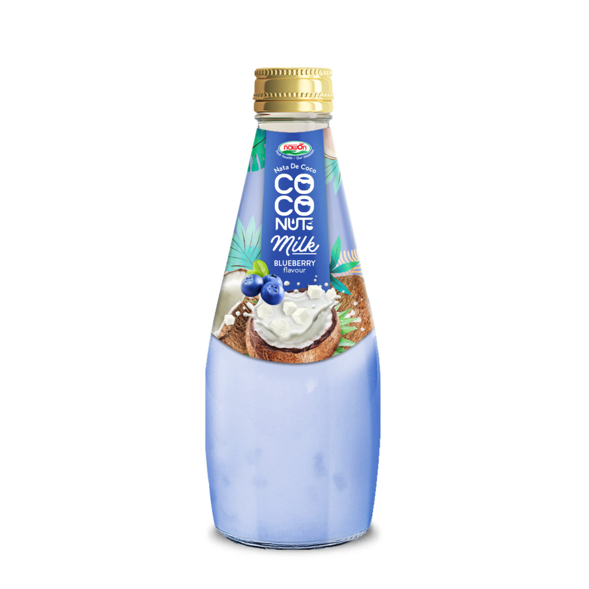 Coconut Milk Blueberry