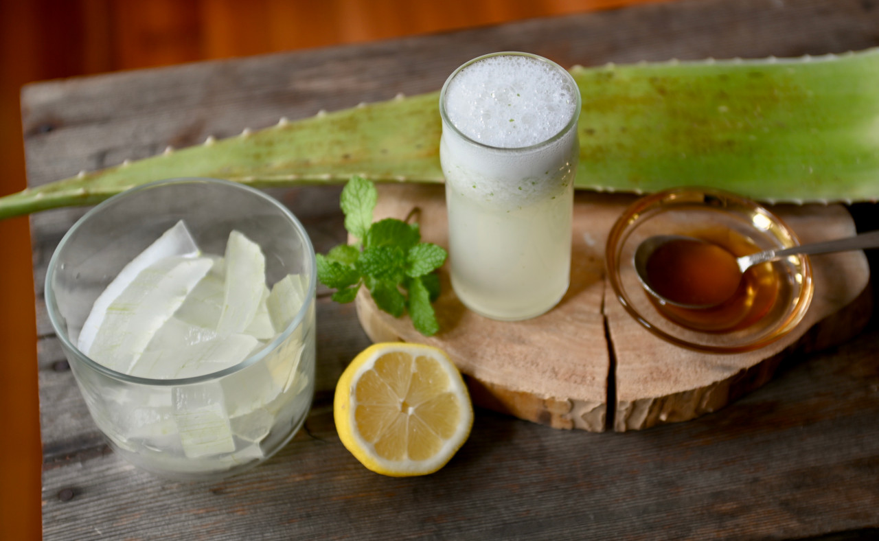 Benefits Of Drinking Aloe Vera And Lemon Juice