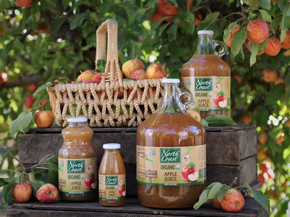 North Coast Organic Gala Apple Sauce
