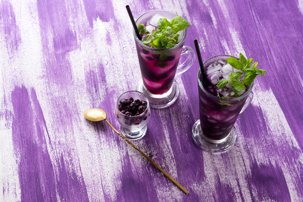 Cool Mint Mojito Blueberry Drink Recipes