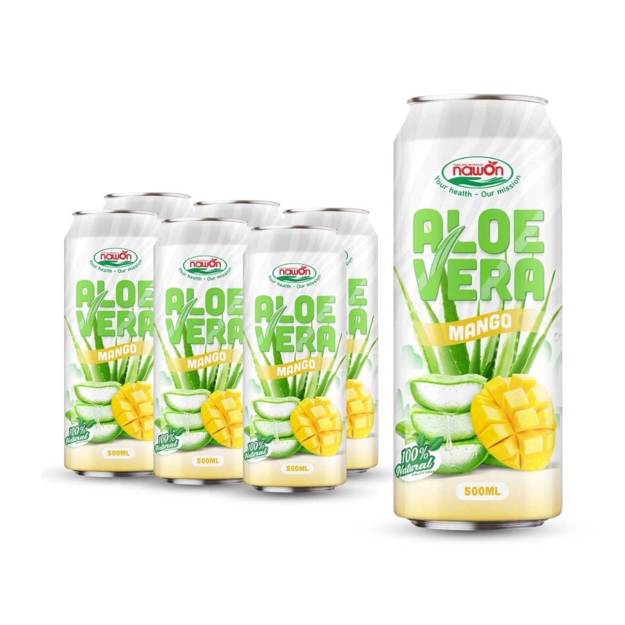 Can 500 ml 16 9 fl oz aloe vera drink wholesale mango flavor (1)