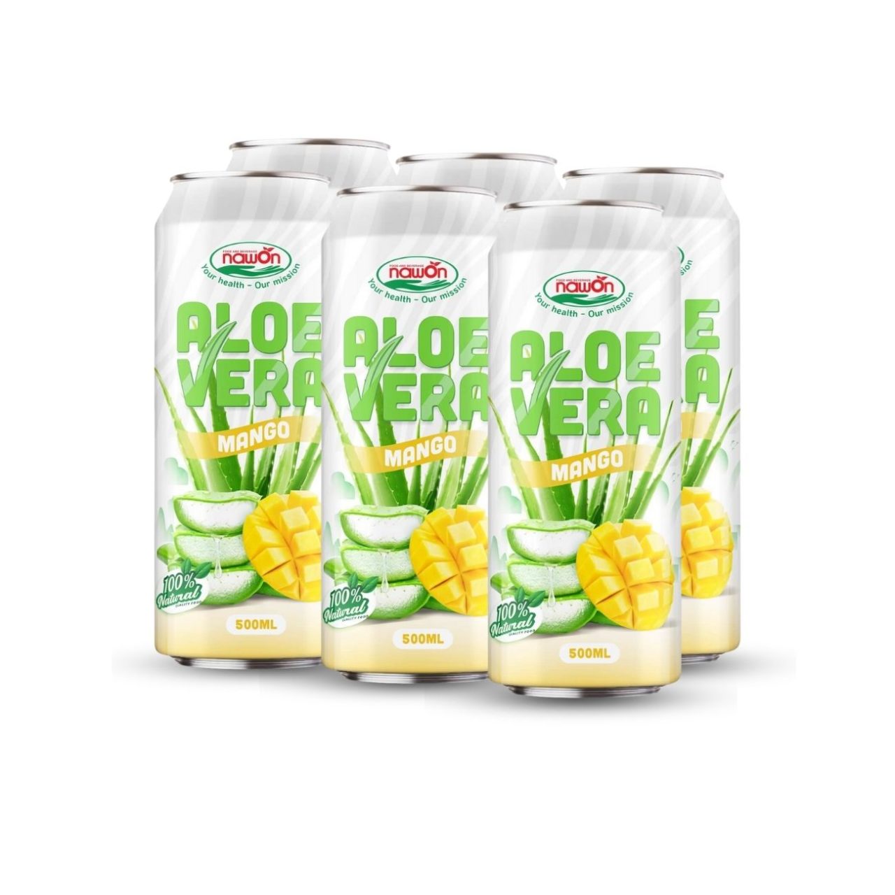 Can 500 ml 16 9 fl oz aloe vera drink wholesale mango flavor (2)