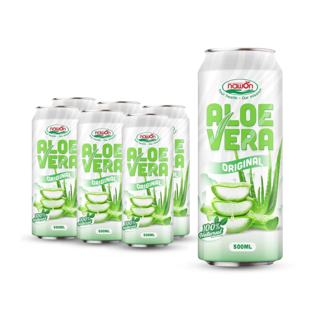 Can 500 ml 16 9 fl oz aloe vera drink wholesale original flavor (1)