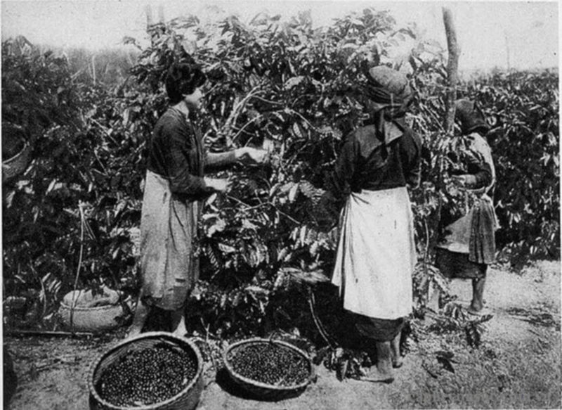history of viethamese coffee