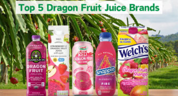 9 Best Dragon Fruit Juice Brands 2025