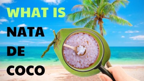 What is nata de coco ?