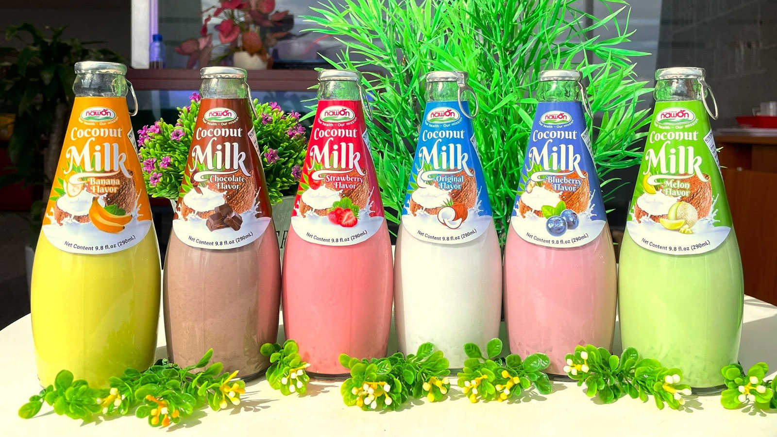 Top the best coconut milk brand 2025