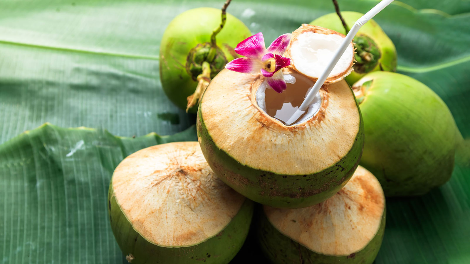 What are the benefits of organic coconut water