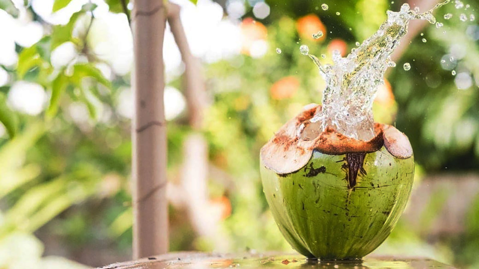 What are the benefits of organic coconut water