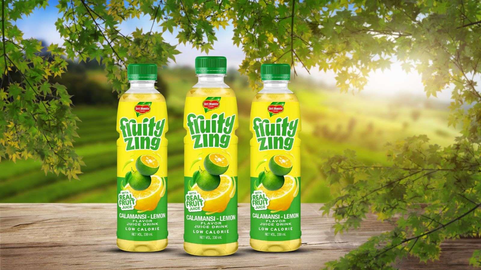 Del Monte Juice Drinks Calamansi