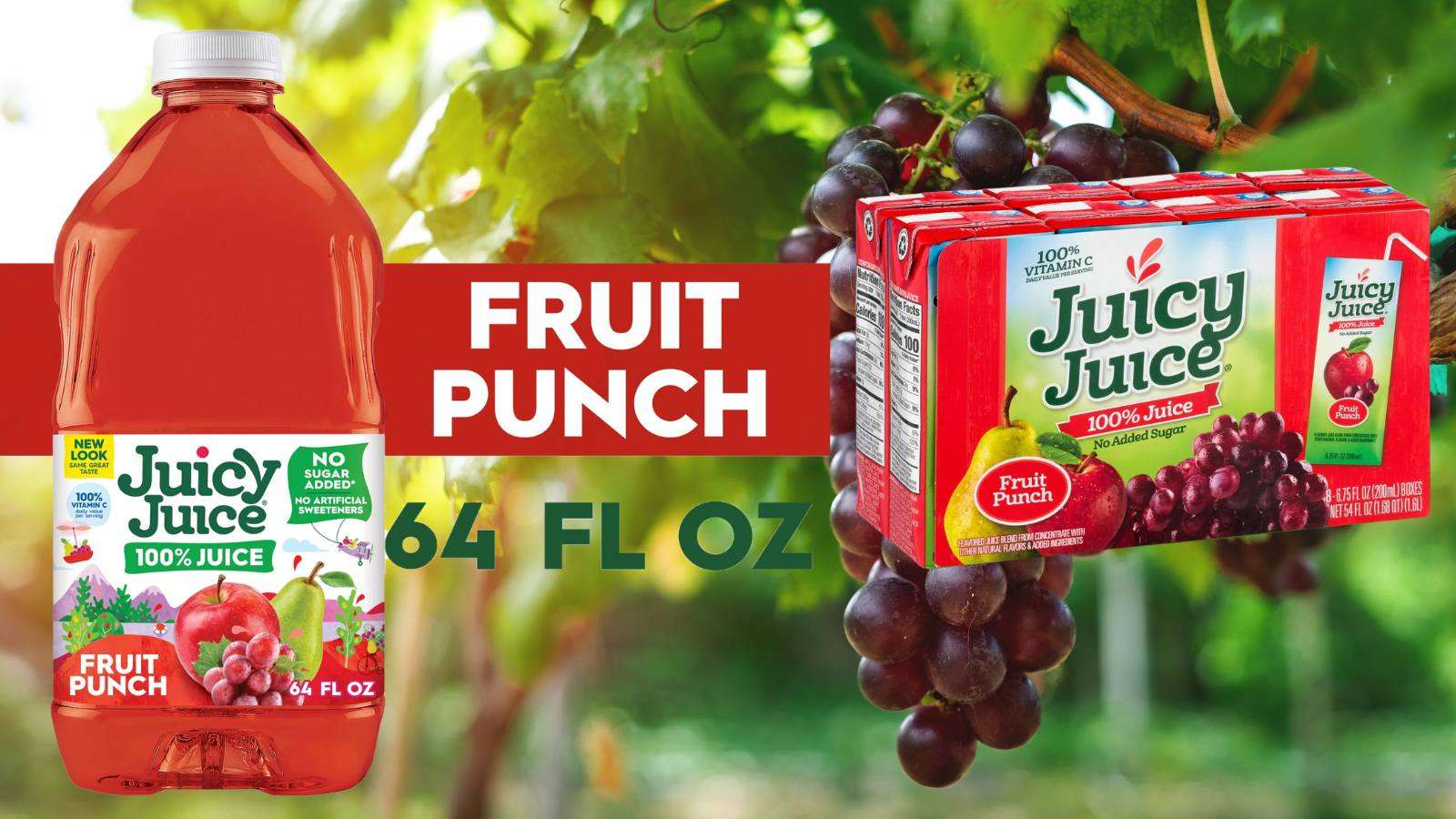 Juicy Juice Fruit Punch