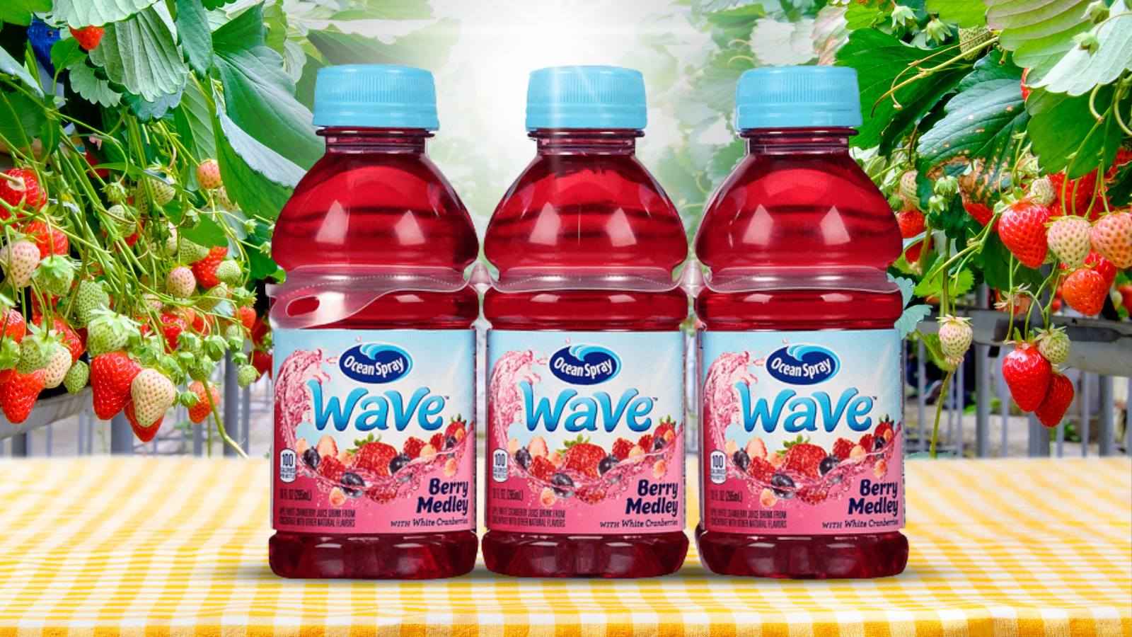 Ocean Spray Wave Berry Medley