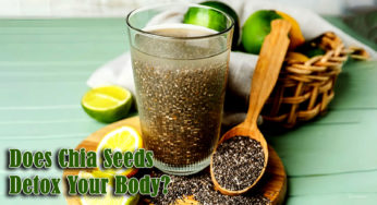 Do Chia Seeds Detox Your Body?