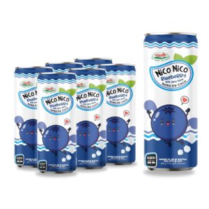 nata de coco drink with blueberry flavor can 320ml