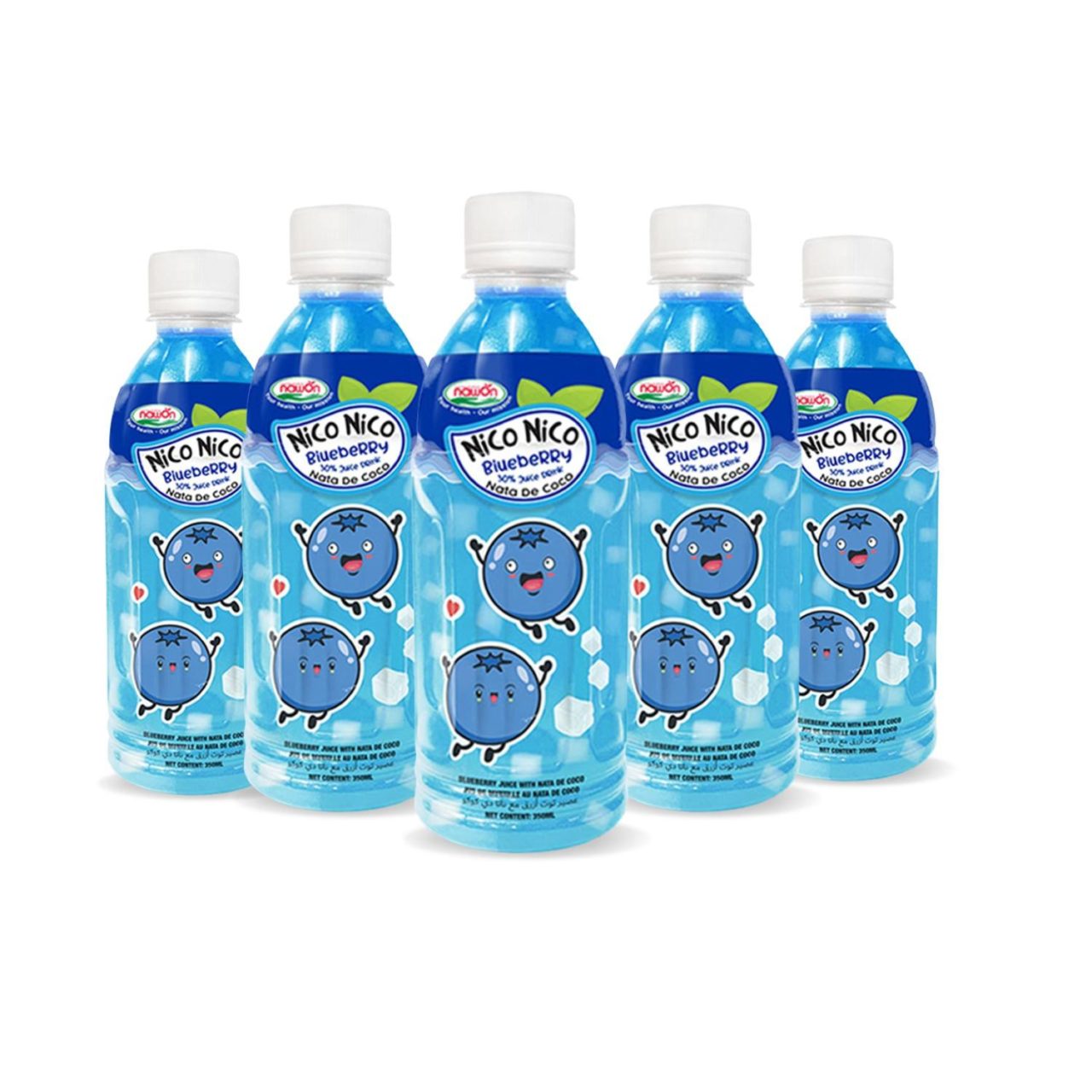 nata de coco juice with blueberry flavour bottle 350ml