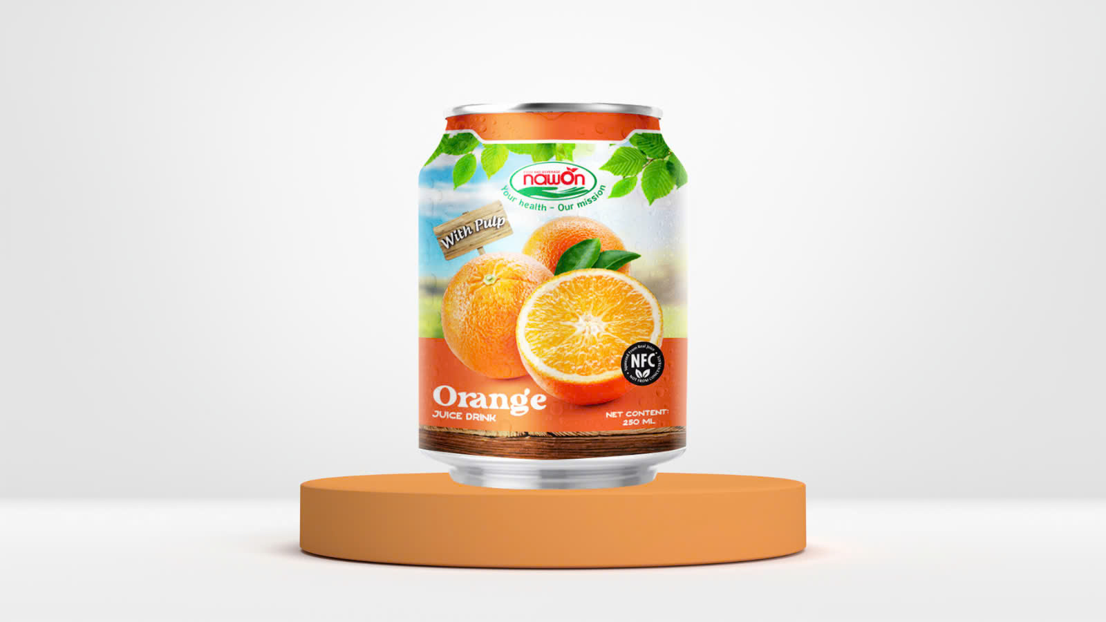 Canned orange juice (2)