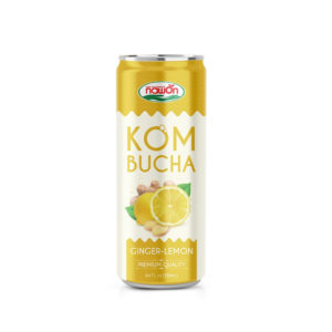 can 250ml kombucha with ginger lemon