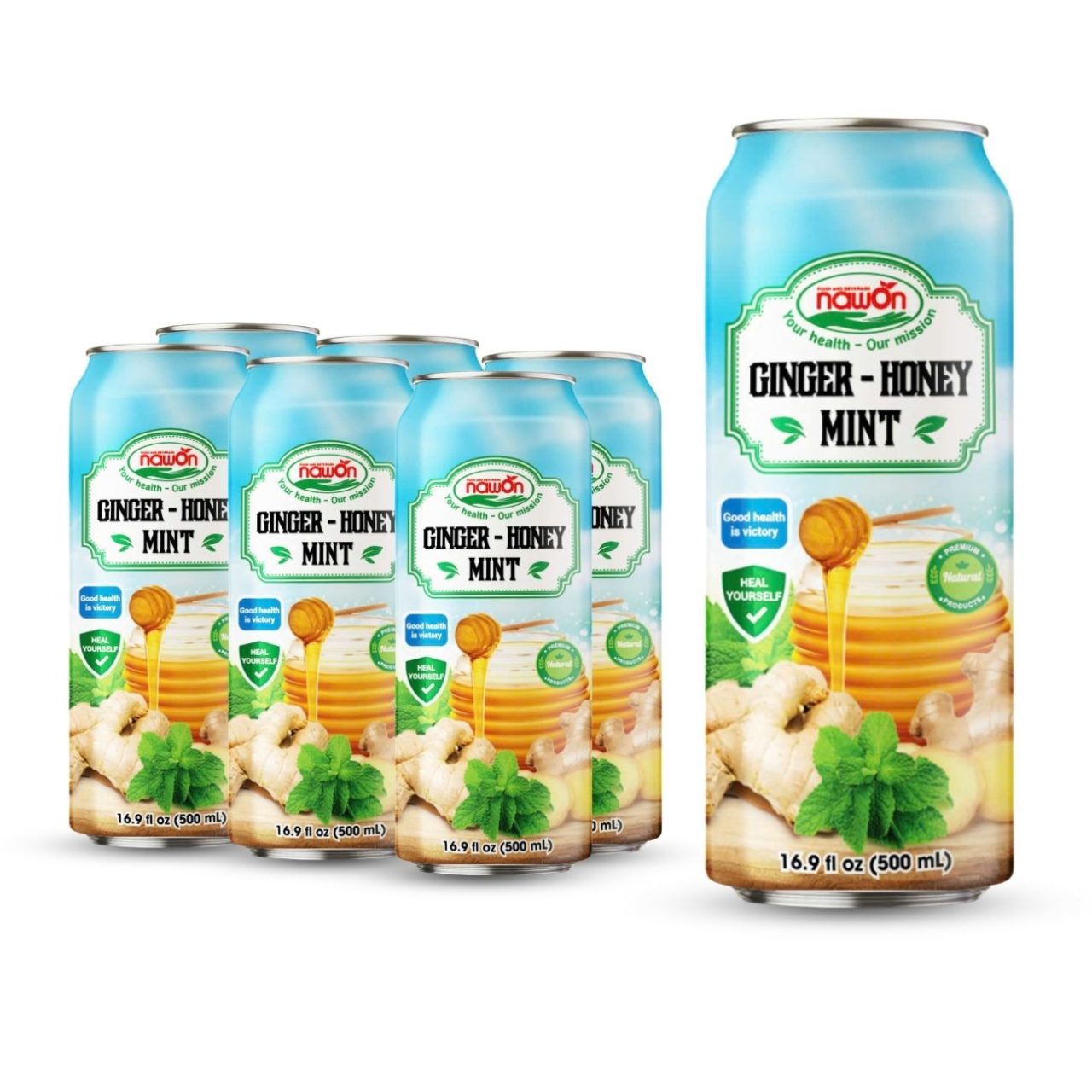 Can 500 ml 16 9 fl oz mix healthy juice with ginger honey mint (1)