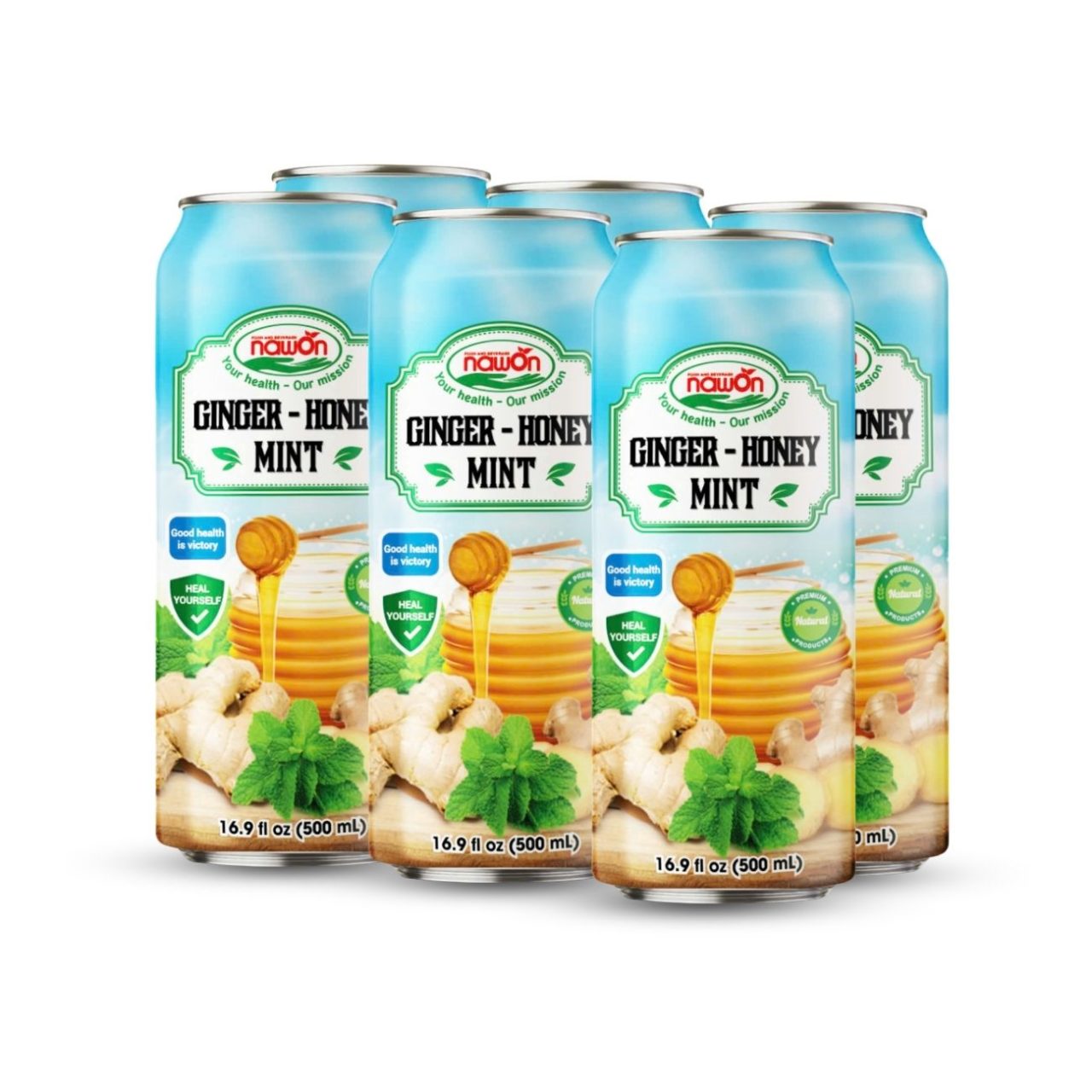Can 500 ml 16 9 fl oz mix healthy juice with ginger honey mint (2)