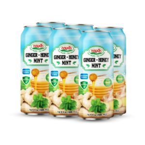Can 500 ml 16 9 fl oz mix healthy juice with ginger honey mint (2)