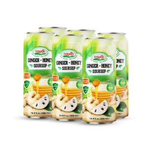 Can 500 ml 16 9 fl oz mix healthy juice with ginger honey soursop (2)